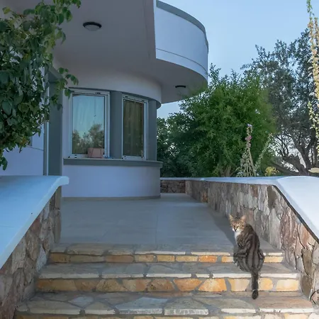 Olive Treasure Villa *
