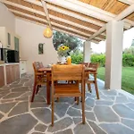Villa Olive Treasure