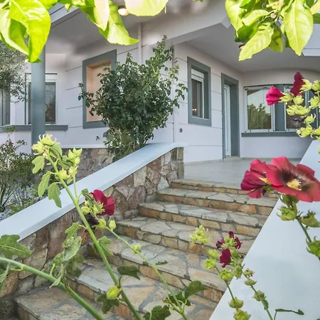 Olive Treasure With Private Pool Villa Kolymbia