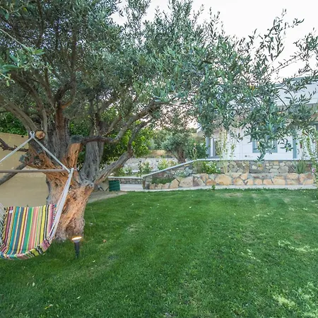 Villa Olive Treasure